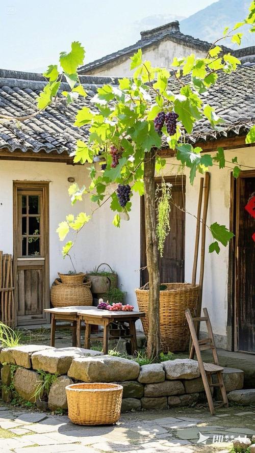 乡下生活官方网站有啥好?盘点最受欢迎的田园体验项目!