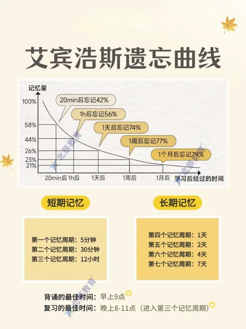 如何查询扭曲的记忆最新版本是多少?专家分享实用小技巧!