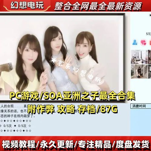 SOA水上乐园汉化版下载速度慢怎么办？(提升下载效率小技巧)