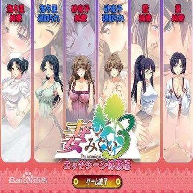 妻中密官网是什么网站?作用与价值全面解析说明!