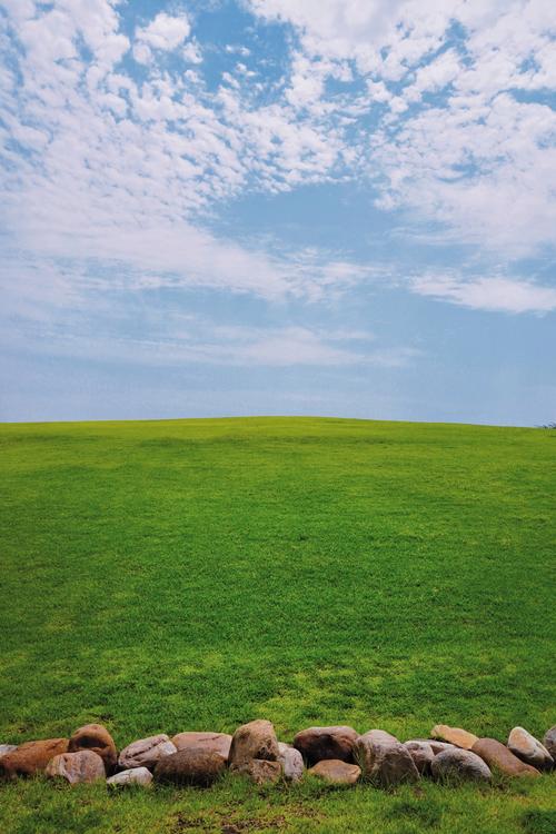 青青草原官方网站