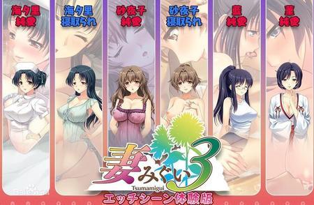 妻中密版本大全怎么下载？安全获取方法一步到位！