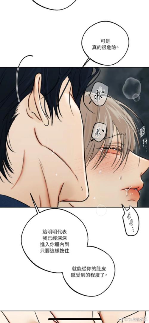 爱欲之塔安卓汉化怎么下载安装？一步步教你简单操作！