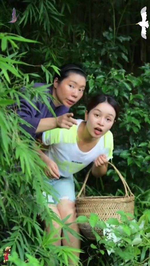 索尼娅的乡村生活更新地址最新链接?这里快速更新教程!