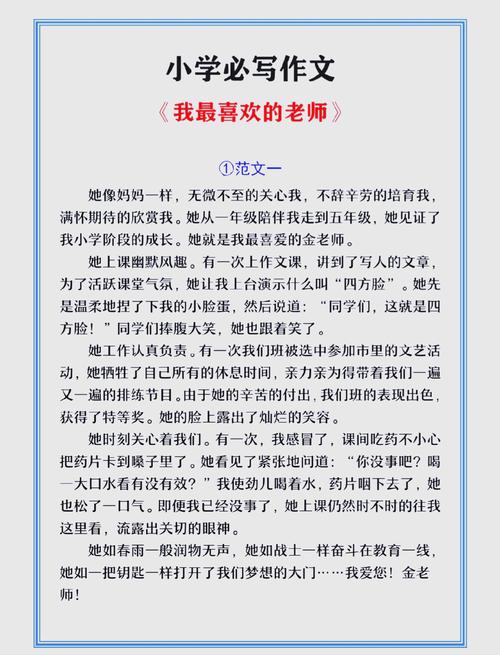 最喜欢的老师如何下载效果测评？用户真实反馈揭秘！