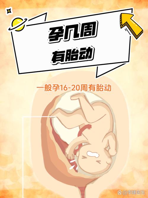 怀孕无双最新有哪些内容?这5大看点不能错过!