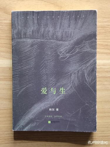 哪里下载最新的爱与生活幸运老师汉化版?(安全可靠资源推荐)