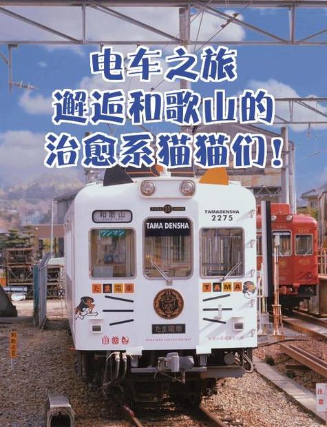 探索邂逅电车：官方正式版下载最新版的魅力与体验