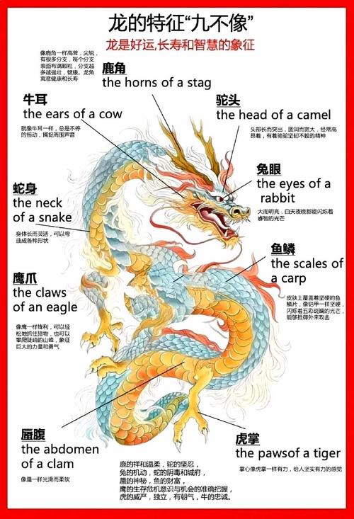 龙的征服在哪下载实战经验与优化建议