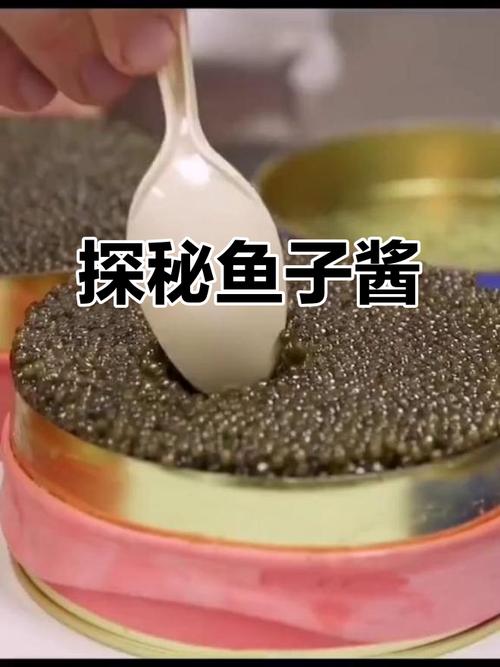 探秘鱼子酱：畅玩游戏的全新攻略