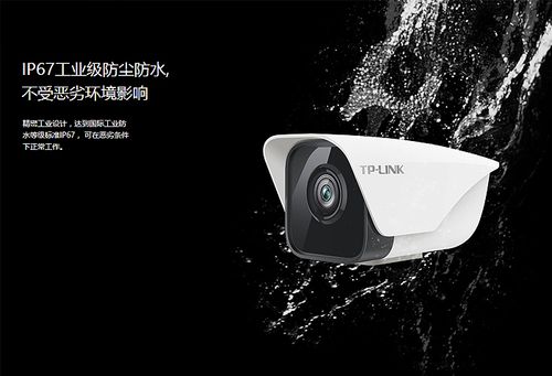 探索视灵1最新版本的魅力与创新