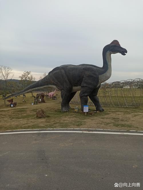 在欢乐岛中探寻杨过的传奇旅程