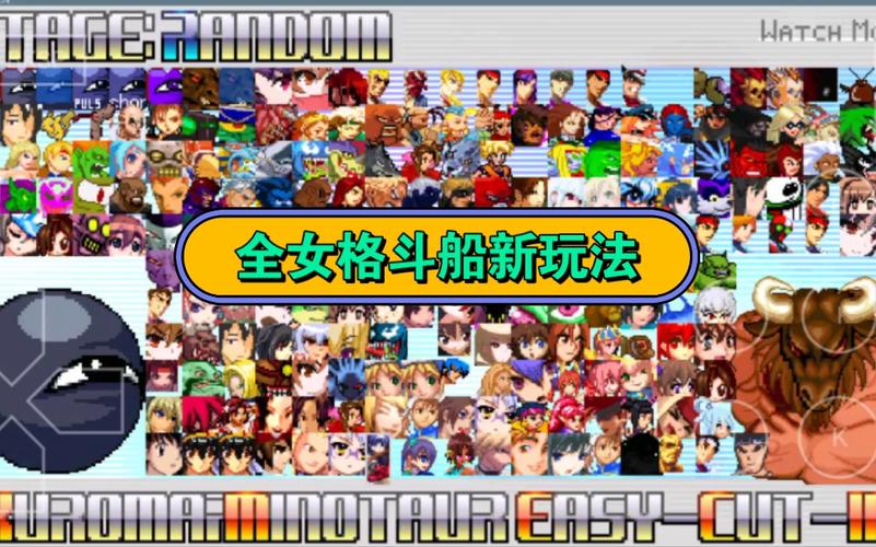 全女格斗最新版本揭晓：精彩升级与全新体验