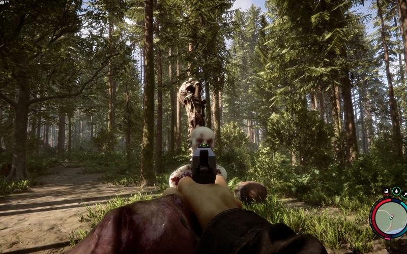 探索森林之子：最新版本的魅力与体验