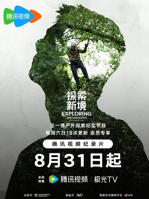 探索电影官网：连接影迷与银幕的桥梁