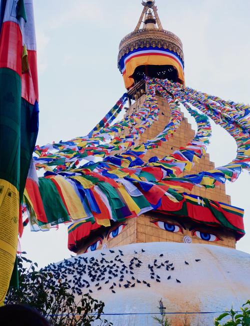 探索“祈愿之旅”的下载途径：掌握你的游戏未来