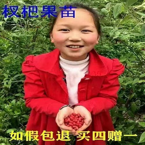 爱相思如何下载？探索绅士游戏的魅力之旅