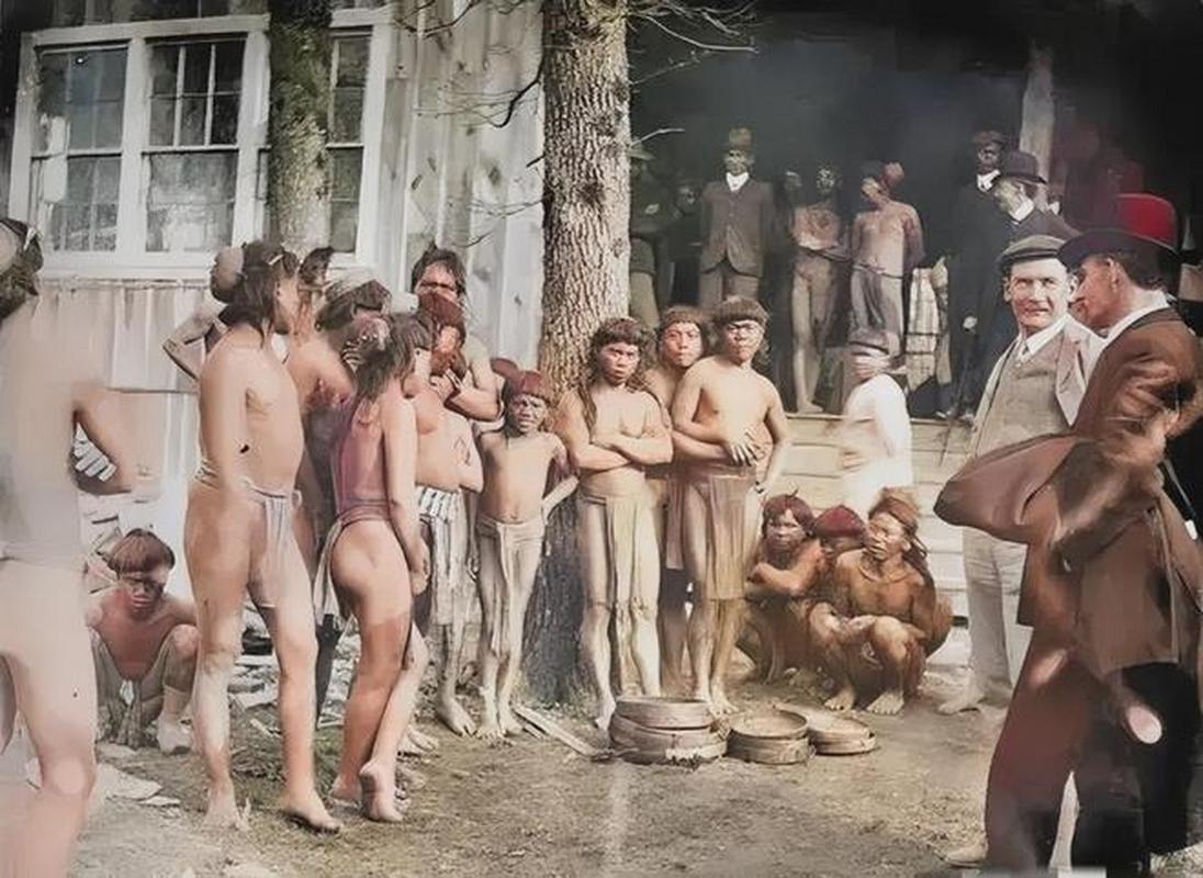 发现“奴隶们”的全新世界：下载地址与游戏魅力解析