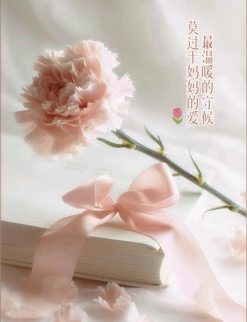 寻找温暖:妈妈的爱在哪下载