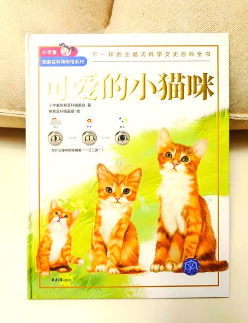 探索猫研社最新版本：魅力与创新并存的游戏体验