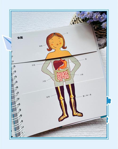 探秘身体薪酬最新版本：全新体验与引人入胜的魅力