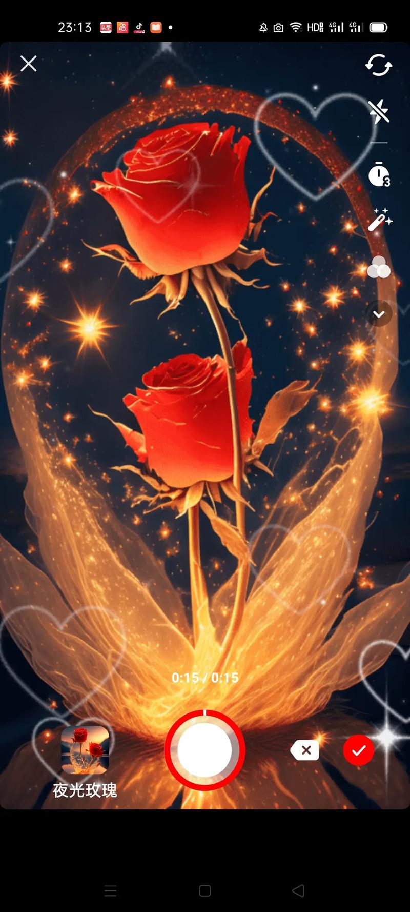 揭开玫瑰行动最新动态的神秘面纱