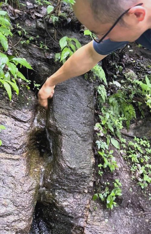 探索精灵谷官方网站：一个梦幻的绅士游戏世界