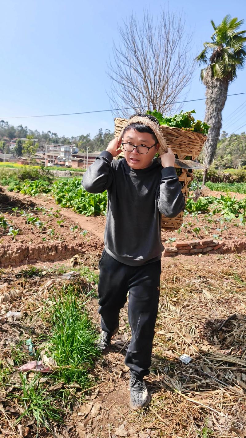 回到农村更新日志实战经验与优化建议