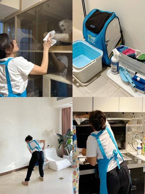 探寻家务最新版本：在虚拟世界中体验真实家庭生活的魅力