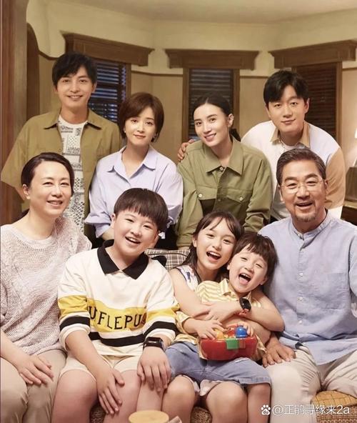 欢乐之家最新版本的全面解析与实用指南