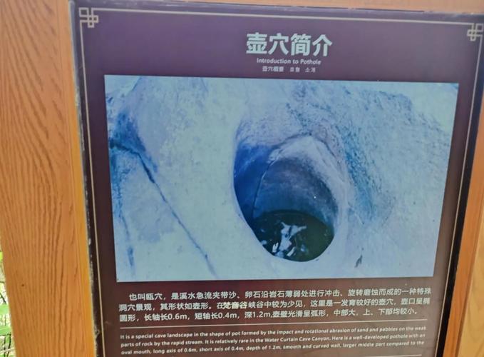探索肉壺村：一个充满魅力的奇异世界