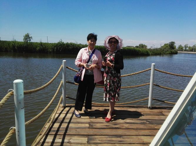 畅游在家园3的魅力世界：实用攻略大揭秘