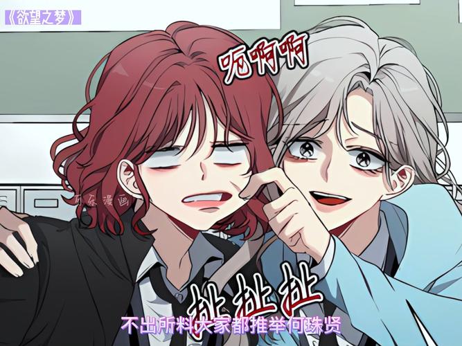 欲望之梦最新版本的全面解析与实用指南