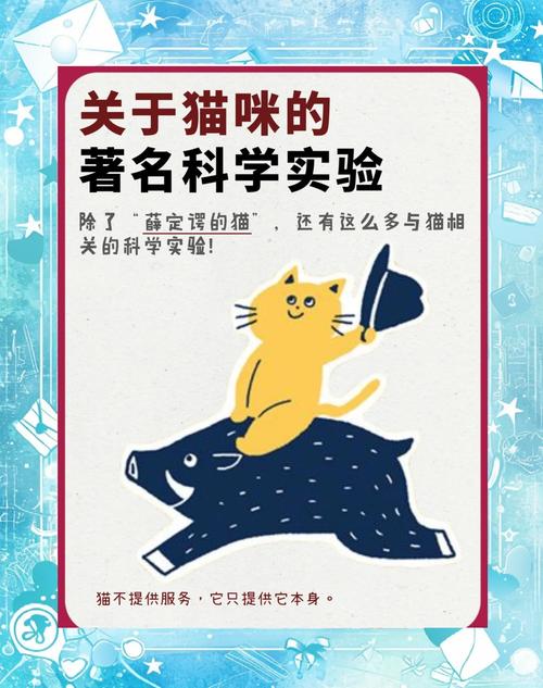 深度探秘：猫研社官方正式版下载最新版的魅力与特色