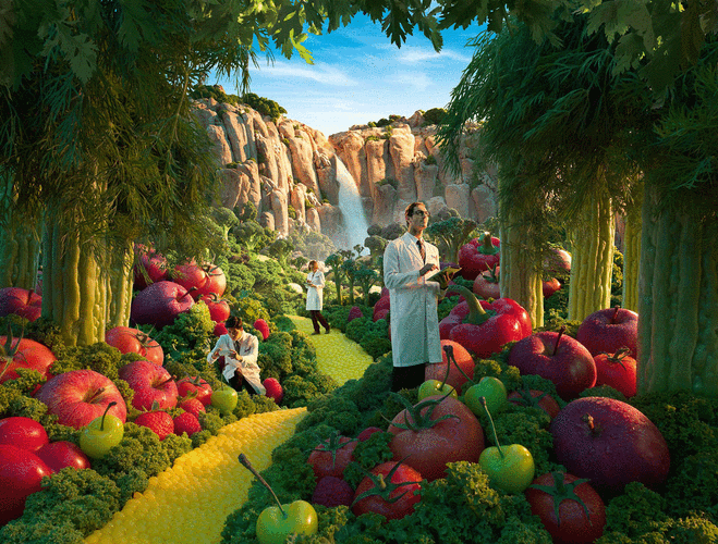 畅游在家园3的魅力世界：实用攻略大揭秘