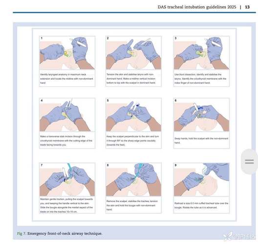 深度解读：接管最新版本是多少？