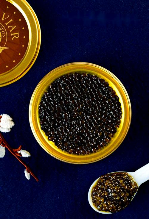 探索鱼子酱下载安卓的魅力：让游戏体验更上一层楼