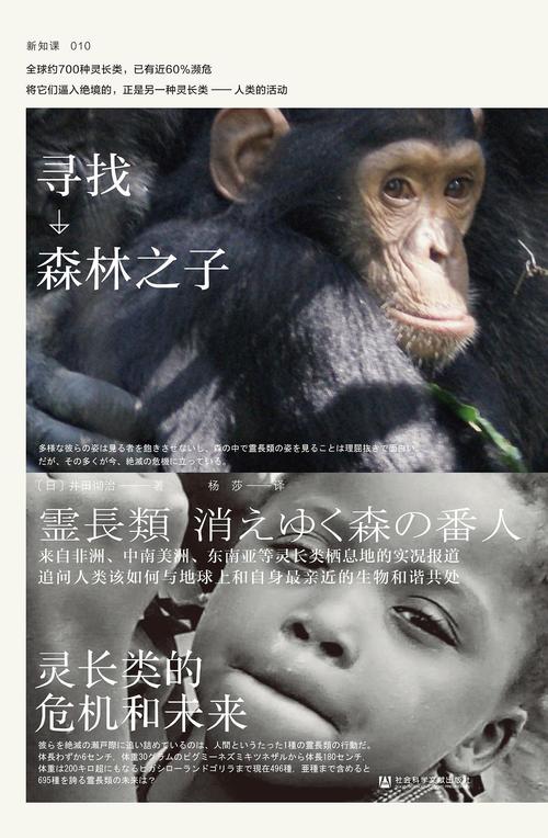 寻找“森林之子”？了解下载渠道与玩法精髓