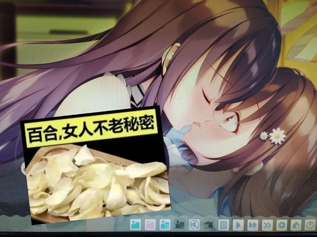 最新揭秘：女朋友汉化版最新更新内容解析