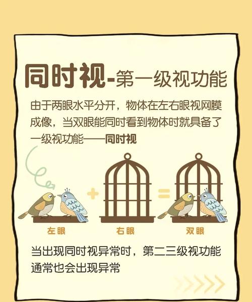 如何高效利用视灵1官网：详细教程与实用技巧