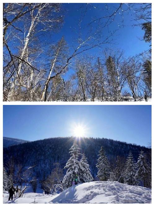 探索暖雪官网：沉浸于独特的游戏体验