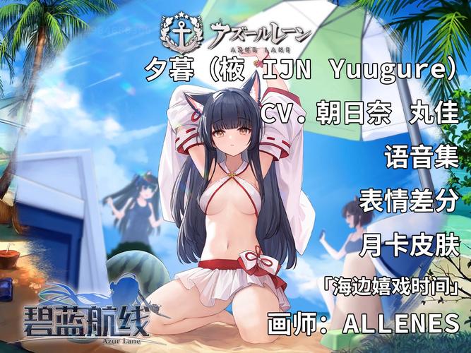 探索驱逐舰绅士游戏的魅力与乐趣