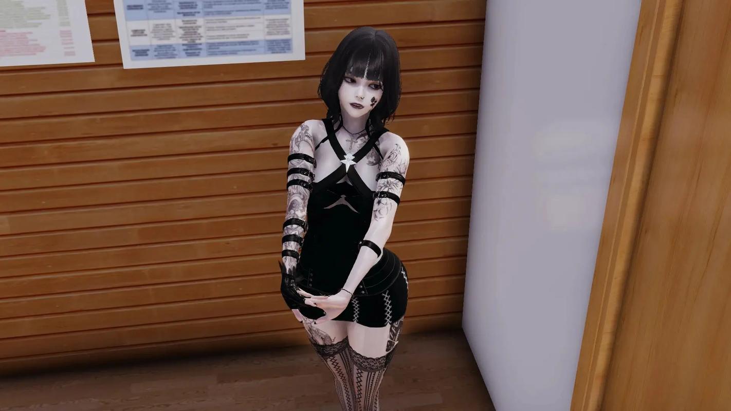 特务少女最新版本的全面解析与实用指南