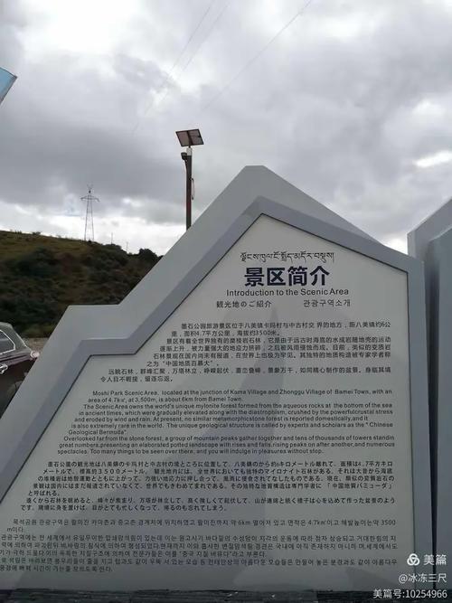 心灵旅达官网实战经验与优化建议