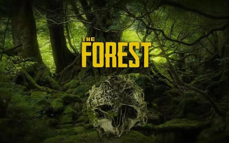 探秘《森林之子》：一场奇幻的冒险之旅