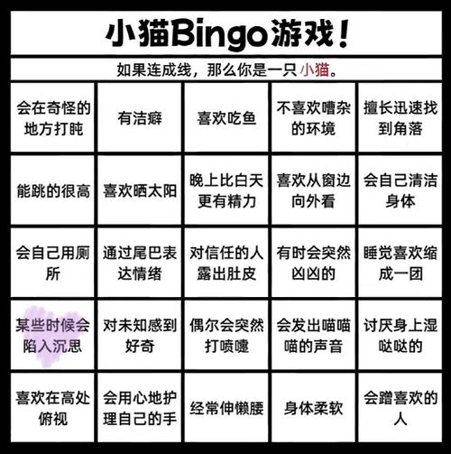 盯档猫 游戏介绍的全面解析与实用指南