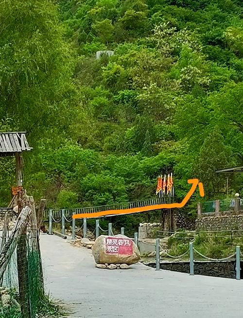 探索精灵谷的魅力：获取下载地址的最佳方式