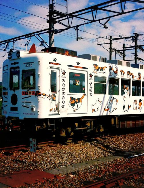 探索邂逅电车的魅力与更新地址的秘密