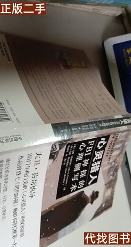 探索心灵的边界：侧写者游戏介绍