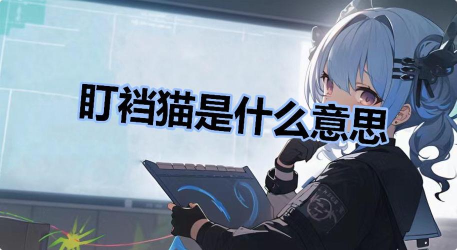 盯档猫 汉化版最新更新内容实战经验与优化建议